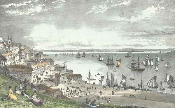 view of Cork harbour