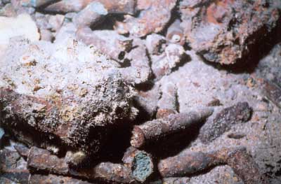  ammunition on  the Aud wreck  
